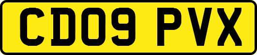 CD09PVX