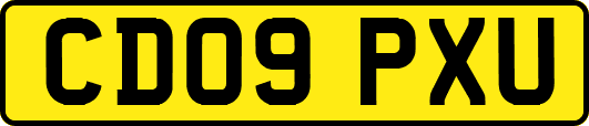 CD09PXU