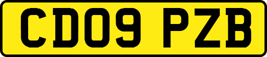 CD09PZB
