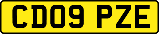 CD09PZE