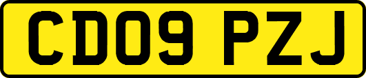 CD09PZJ