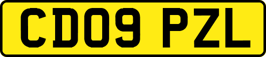 CD09PZL