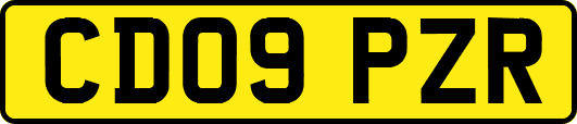 CD09PZR