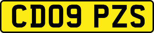 CD09PZS