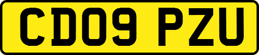 CD09PZU