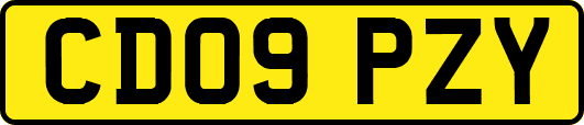 CD09PZY