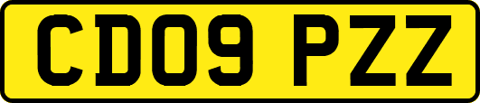 CD09PZZ