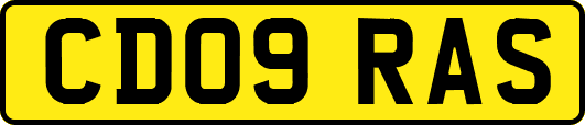 CD09RAS