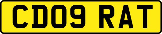 CD09RAT