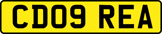 CD09REA