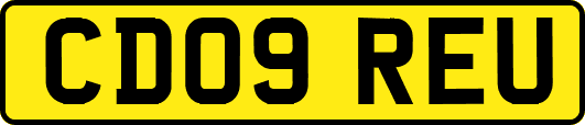 CD09REU
