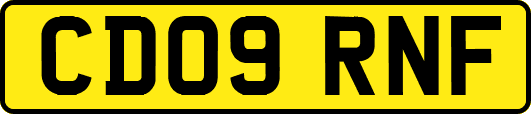 CD09RNF