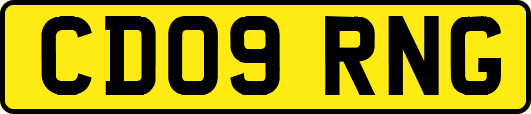 CD09RNG
