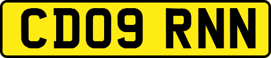 CD09RNN