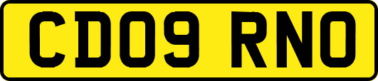 CD09RNO