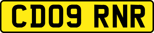 CD09RNR