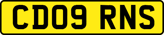 CD09RNS