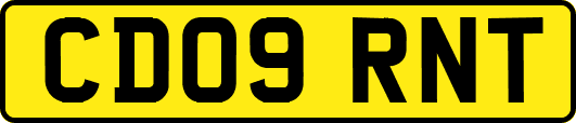 CD09RNT