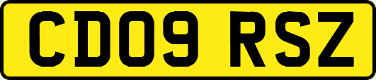 CD09RSZ