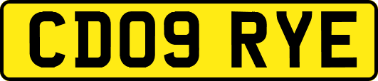 CD09RYE
