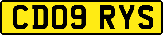 CD09RYS