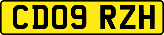 CD09RZH
