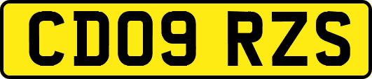 CD09RZS