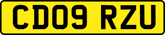CD09RZU