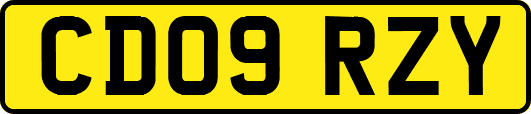 CD09RZY