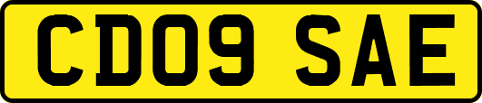 CD09SAE