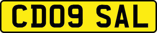 CD09SAL