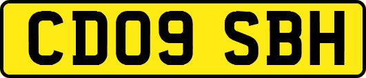 CD09SBH