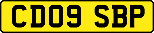 CD09SBP
