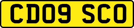 CD09SCO