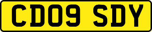 CD09SDY