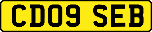 CD09SEB