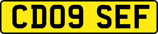 CD09SEF