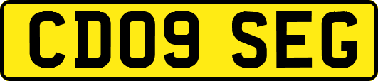 CD09SEG