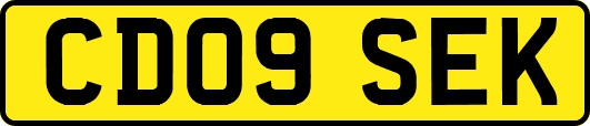 CD09SEK
