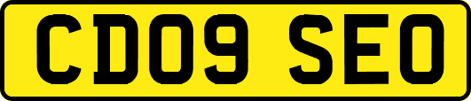 CD09SEO