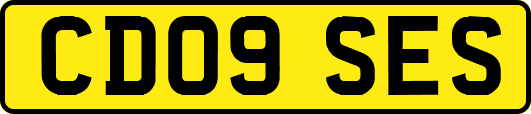 CD09SES