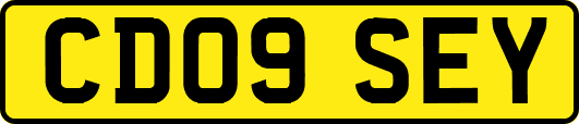 CD09SEY