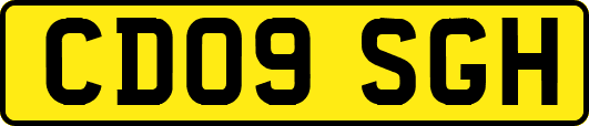 CD09SGH