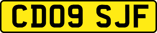 CD09SJF