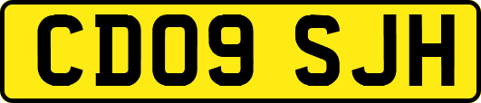CD09SJH