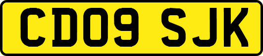 CD09SJK