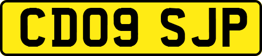 CD09SJP