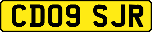 CD09SJR