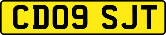 CD09SJT