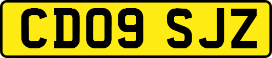 CD09SJZ